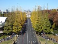 黄葉・空撮