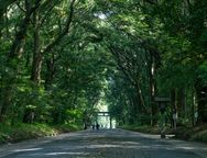 北参道鳥居