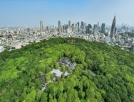 内苑・空撮